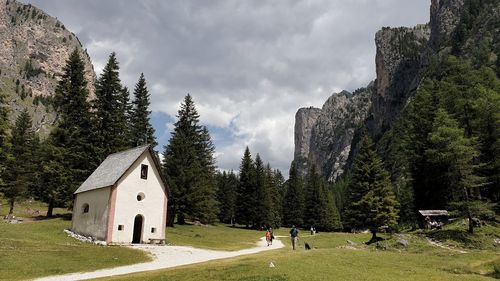 Panoramic shot of trees and buildings against sky