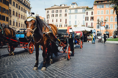 Horse cart in city against sky