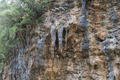 Low angle view of rock formation on land