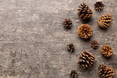 Pine cones on colored table. natural holiday background with pinecones grouped together. flat lay. 