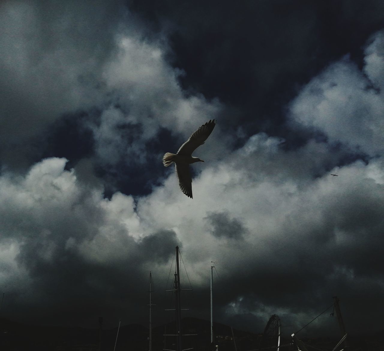 LOW ANGLE VIEW OF BIRD FLYING AGAINST CLOUDS IN SKY