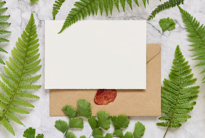 Close-up of paper plant against white background