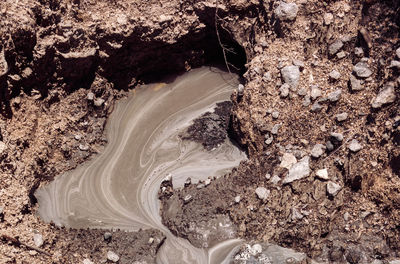 High angle view of rock on field