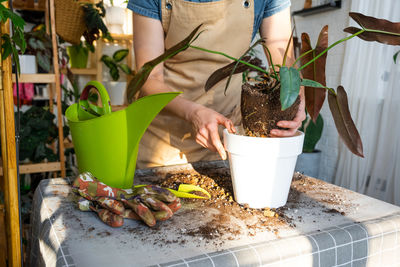 Midsection of woman holding potted plant