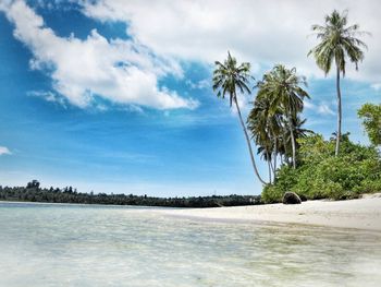 Scenic view of sea against sky