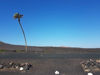 Scenic view of landscape against clear blue sky