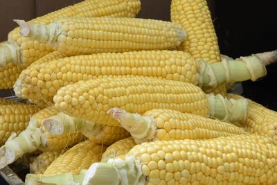 Close-up of fresh vegetables