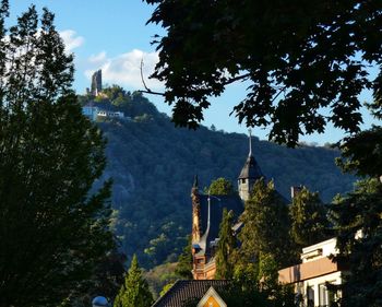 Panoramic view of trees and buildings against sky