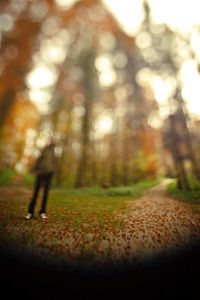 Man walking on footpath in forest