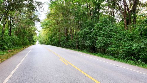 Empty road amidst trees in forest