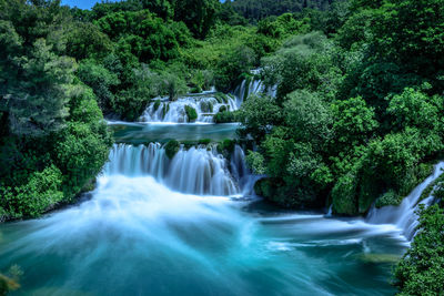 Scenic view of waterfall in forest