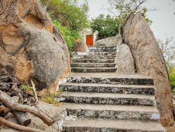 Staircase by tree against temple