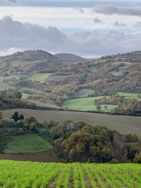 Scenic view of agricultural field against sky