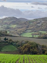 Scenic view of agricultural field against sky