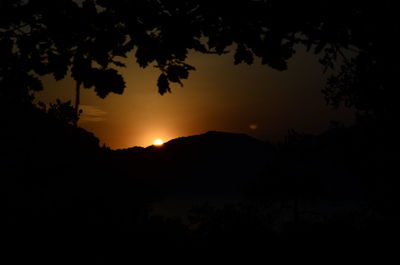 Silhouette of trees at sunset