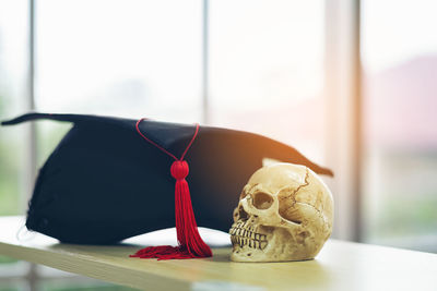 Close-up of animal skull and mortarboard on table