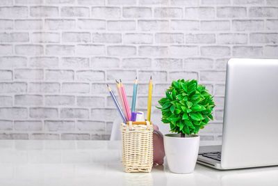 Close-up of potted plant on table against wall