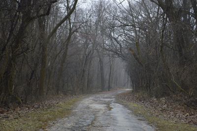 Road amidst trees in forest