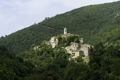 Buildings in town