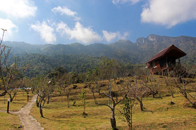 Scenic view of trees and houses against sky