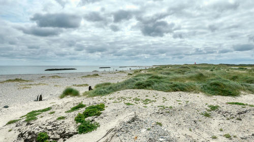 Scenic view of beach against sky