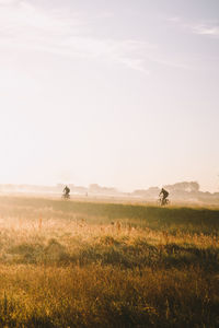 Silhouette people riding bicycles on field against sky