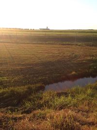 Scenic view of field against clear sky