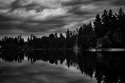 Reflection of trees in lake against sky