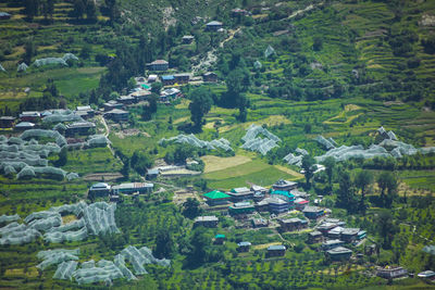 High angle view of trees and houses on field