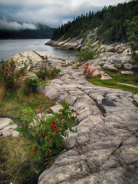 Scenic view of river against cloudy sky