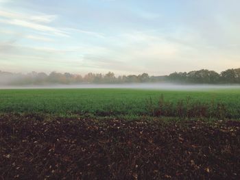 Scenic view of field against sky