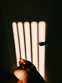 Close-up of hand holding eyeglasses against wall