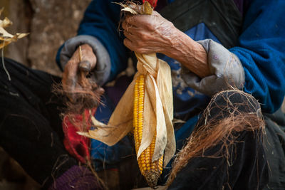 Midsection of person holding corn