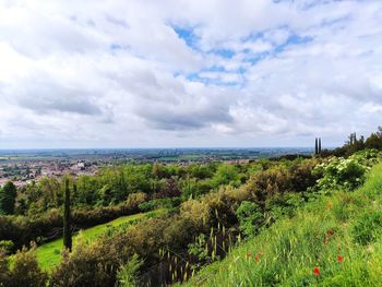 Scenic view of field against sky