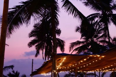Low angle view of palm trees against sky at sunset