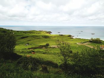 Scenic view of sea against sky