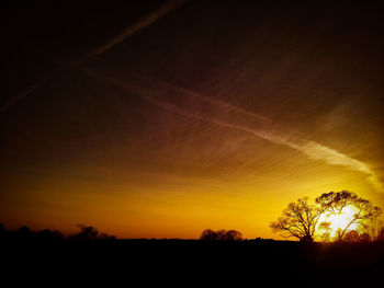 Silhouette trees against sky at sunset