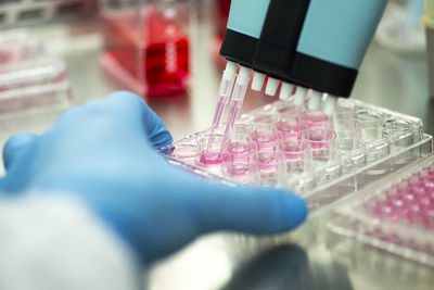 Cropped hand of scientist working in laboratory