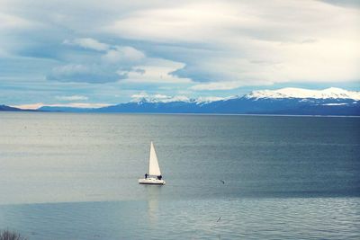 Sailboat sailing on sea against sky