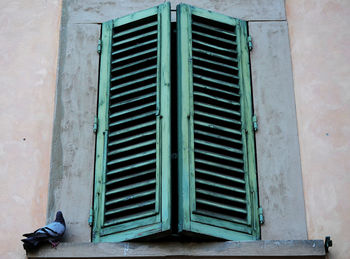 Closed window of old building