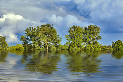 Reflection of trees in lake against sky