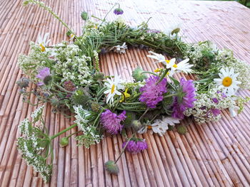 High angle view of purple flowering plants