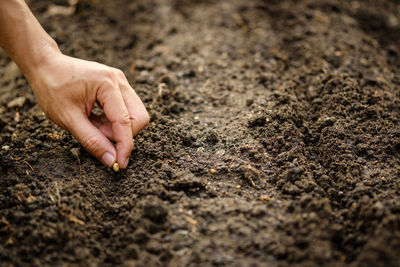 Close-up of hand on sand