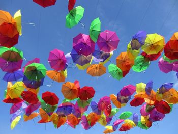 Low angle view of multi colored flowers hanging against blue sky