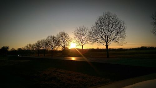 Sun shining through trees