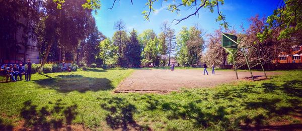 Trees in park