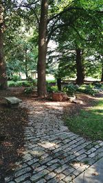 Footpath in park