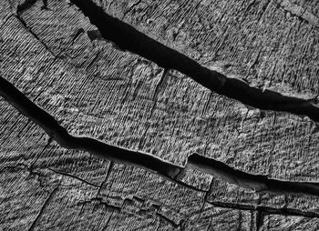 Close-up of cracked wood