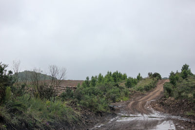 Dirt road by trees against sky