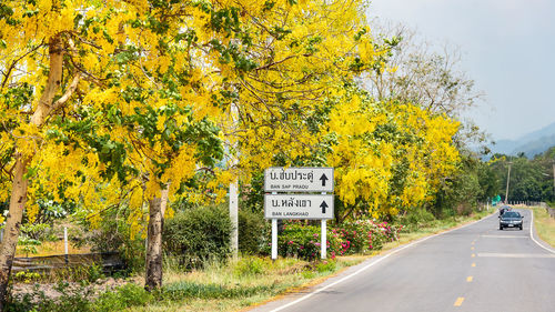 Road sign by trees during autumn